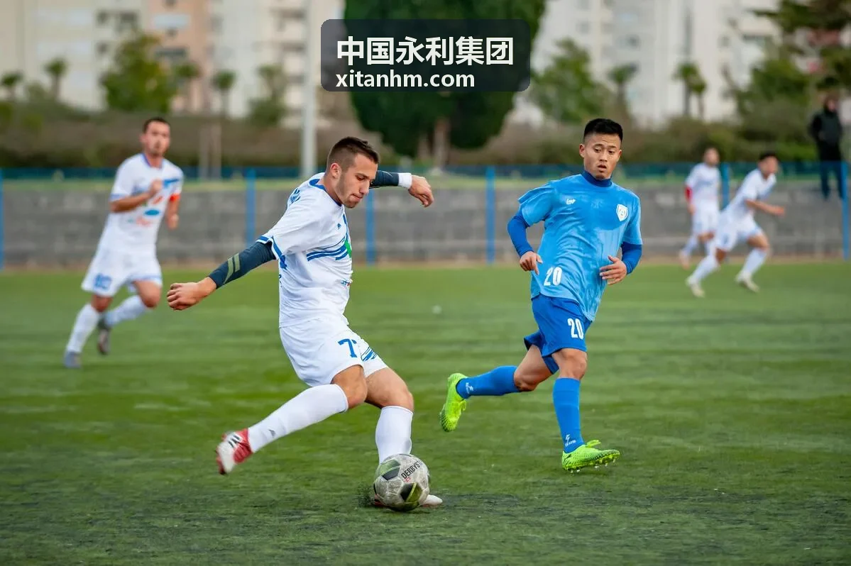 中国永利集团地产开发项目