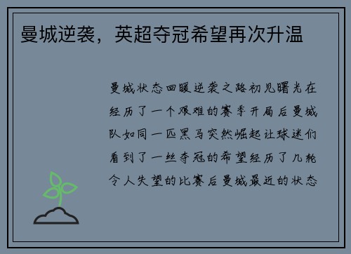 曼城逆袭，英超夺冠希望再次升温