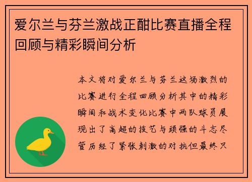 爱尔兰与芬兰激战正酣比赛直播全程回顾与精彩瞬间分析