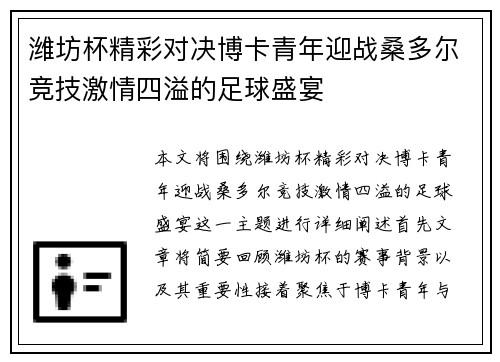 潍坊杯精彩对决博卡青年迎战桑多尔竞技激情四溢的足球盛宴